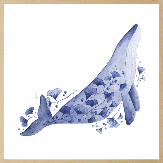 eau-sensible-baleine-resiliente