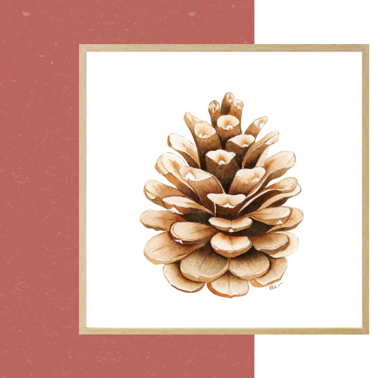 Pomme de pin