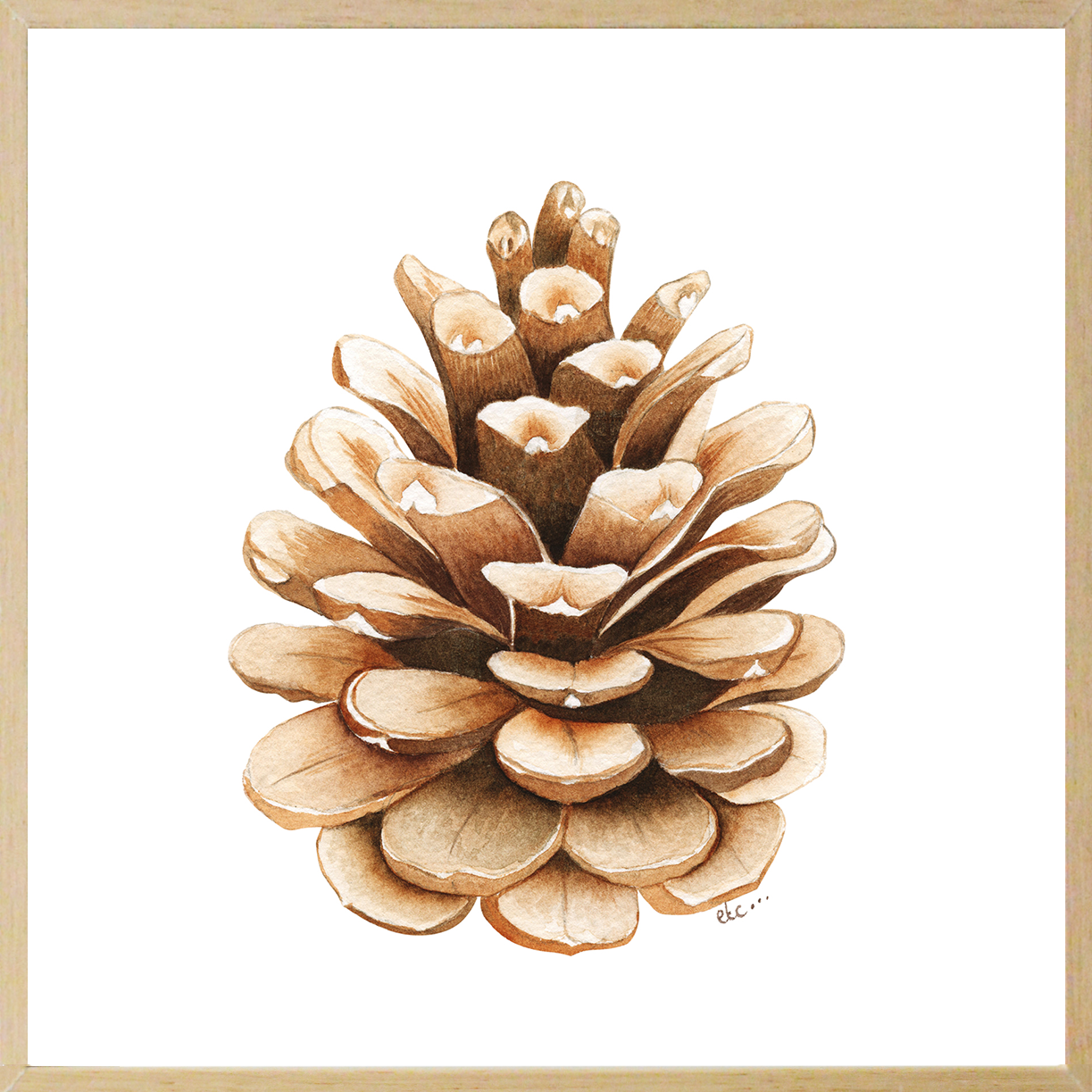 eau-sensible-pomme-de-pin
